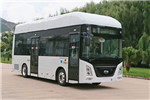 五龙FDE6850PBFCEV04公交车（燃料电池13-28座）