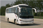 金龙XMQ6759AYN5D客车（天然气国五24-33座）