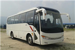 金龙XMQ6898AYD5D客车（柴油国五24-41座）
