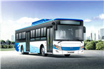 南京金龙NJL6100EV1公交车（纯电动19-37座）