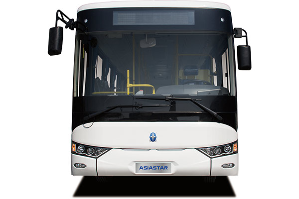 亚星 JS6108GHBEV20公交车（纯电动18-41座）
