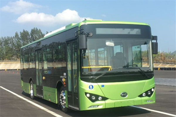 比亚迪BYD6101LGEV11低入口公交车（纯电动18-34座）