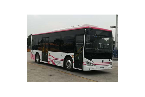 申龙SLK6949UBEVN1公交车（纯电动16-33座）