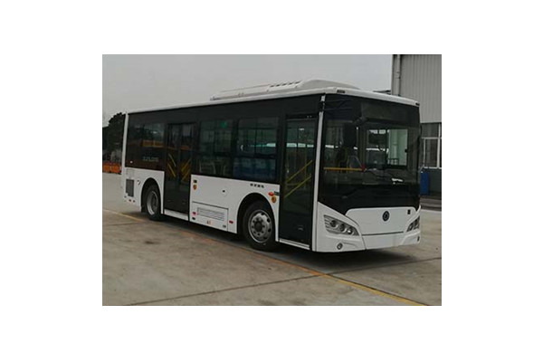 申龙SLK6859UBEVW5公交车（纯电动14-29座）