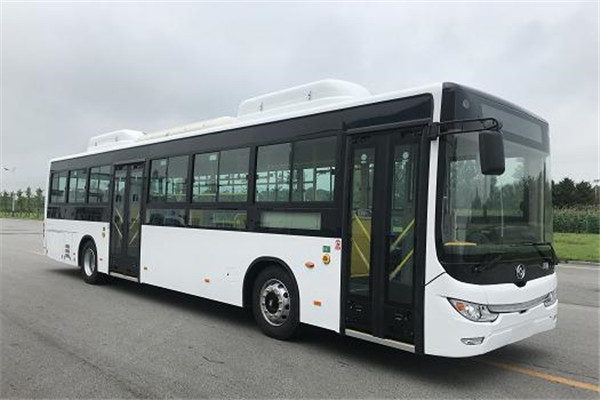 黄海DD6129EV20公交车（纯电动24-46座）