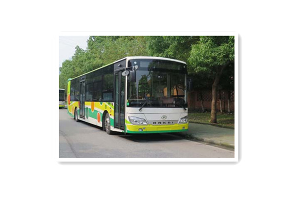 安凯HFF6118G03PHEV-2插电式公交车（天然气/电混动国五10-37座）