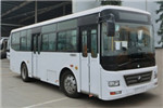宇通ZK6902NG5公交车（天然气国五10-36座）