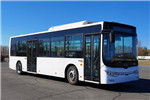 黄海DD6109EV18公交车（纯电动17-33座）