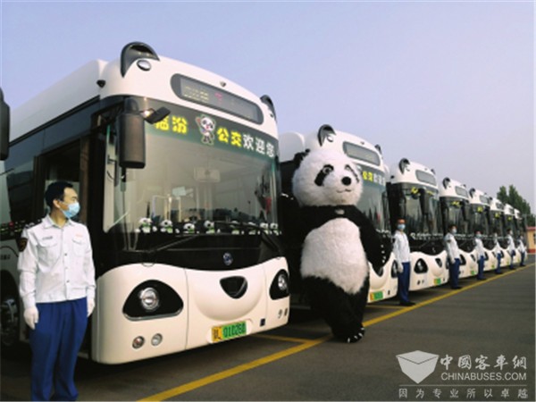 有颜又有“料” 申龙“熊猫”新能源公交上岗山西临汾