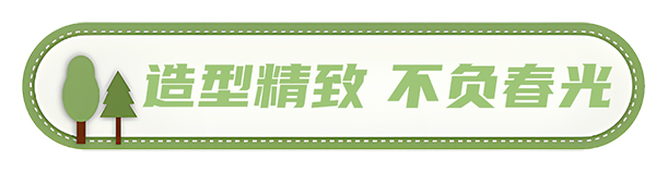 安凯客车 安凯N8 高品质春游