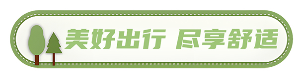 安凯客车 安凯N8 高品质春游