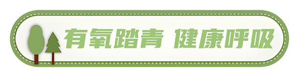 安凯客车 安凯N8 高品质春游