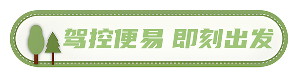 安凯客车 安凯N8 高品质春游