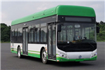 奇瑞万达WD6117FCEVG01公交车（氢燃料电池27-38座）
