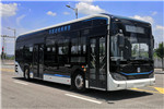 吉利远程JHC6101BEVG10低入口公交车(纯电动20-38座)